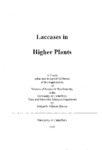Laccase thesis pdf